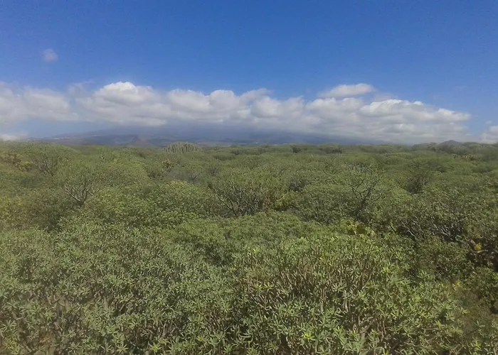 Balcon Del Mar Jobe * Costa Del Silencio