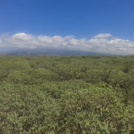 Balcon Del Mar Jobe * Costa Del Silencio
